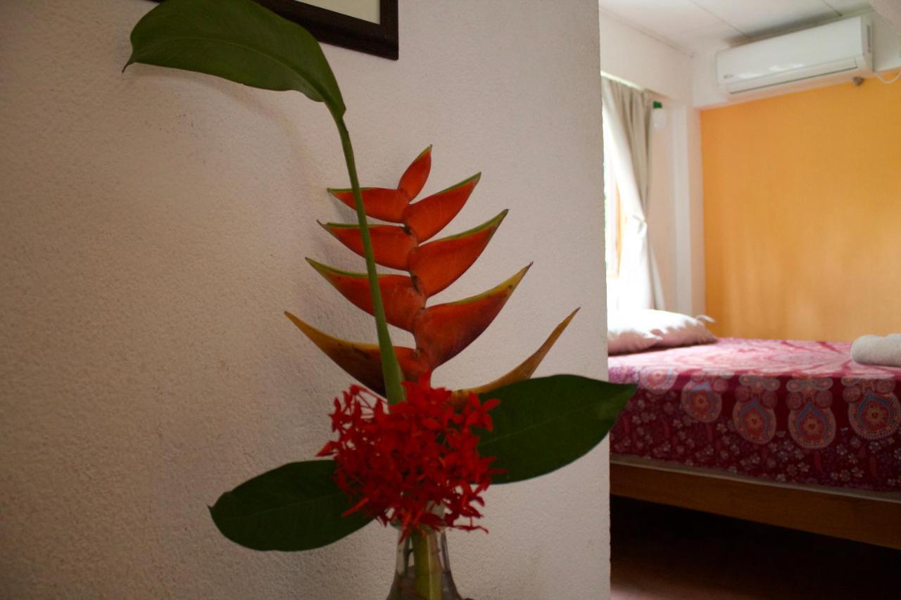 Hostel Tajalin Montezuma Exteriör bild